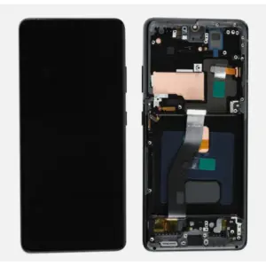 Display für Samsung Galaxy S21 Ultra/G998 OLED mit Rahmen