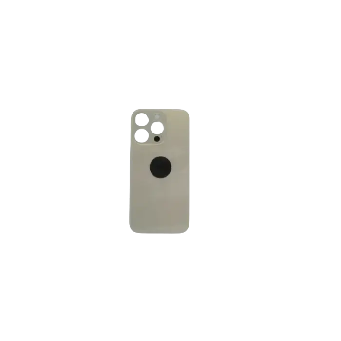 z1